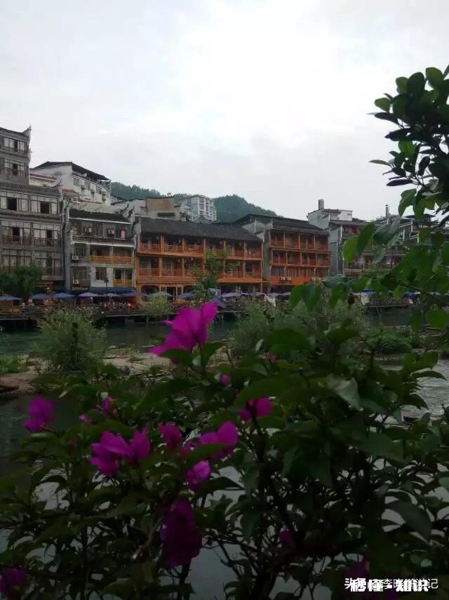 暑假去张家界旅游玩四、五天需要花费多少钱怎样更加省钱