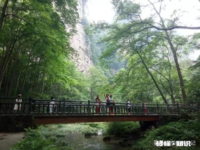 暑假去张家界旅游玩四、五天需要花费多少钱怎样更加省钱