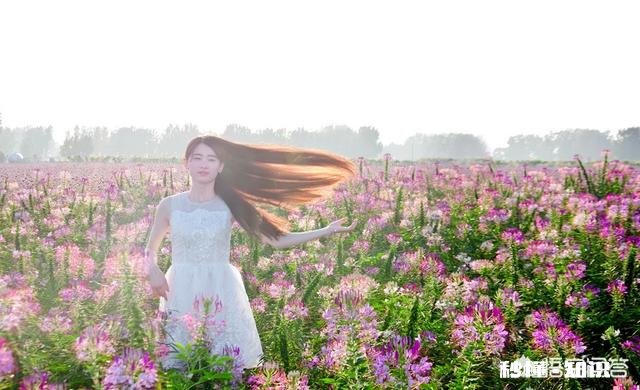 摄影，想要把头发拍出来“散开”且不是“一片式”的样子，都有哪些方法