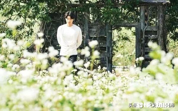 《鬼怪》为什么成为那么多人心中的韩剧No.1