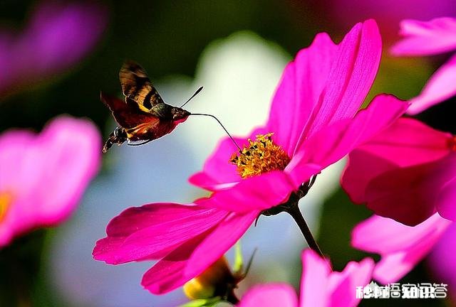 日常生活中,怎样才能把不起眼的小东西拍出不一样的感觉