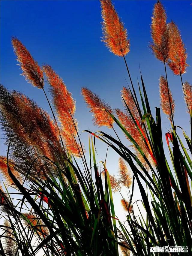 日常生活中,怎样才能把不起眼的小东西拍出不一样的感觉