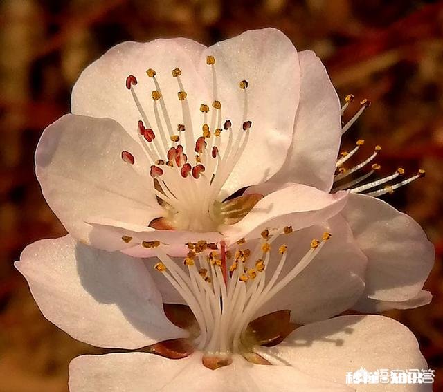 日常生活中,怎样才能把不起眼的小东西拍出不一样的感觉