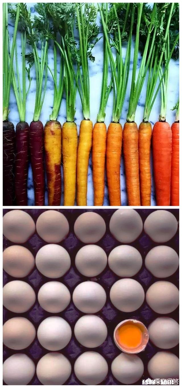 日常生活中,怎样才能把不起眼的小东西拍出不一样的感觉