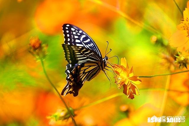 日常生活中,怎样才能把不起眼的小东西拍出不一样的感觉