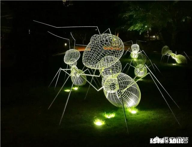 日常生活中,怎样才能把不起眼的小东西拍出不一样的感觉