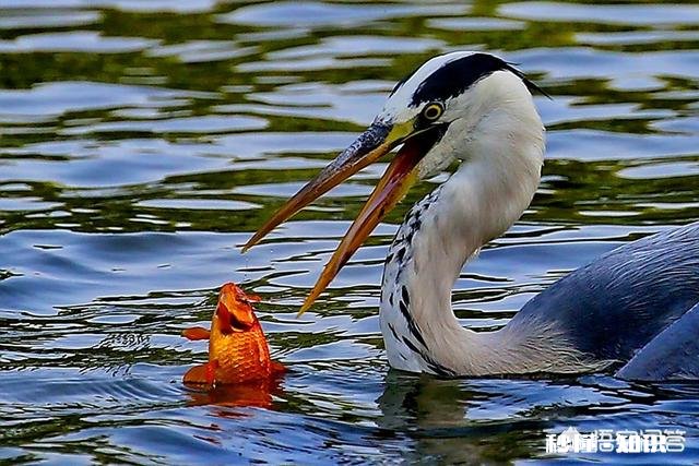 日常生活中,怎样才能把不起眼的小东西拍出不一样的感觉
