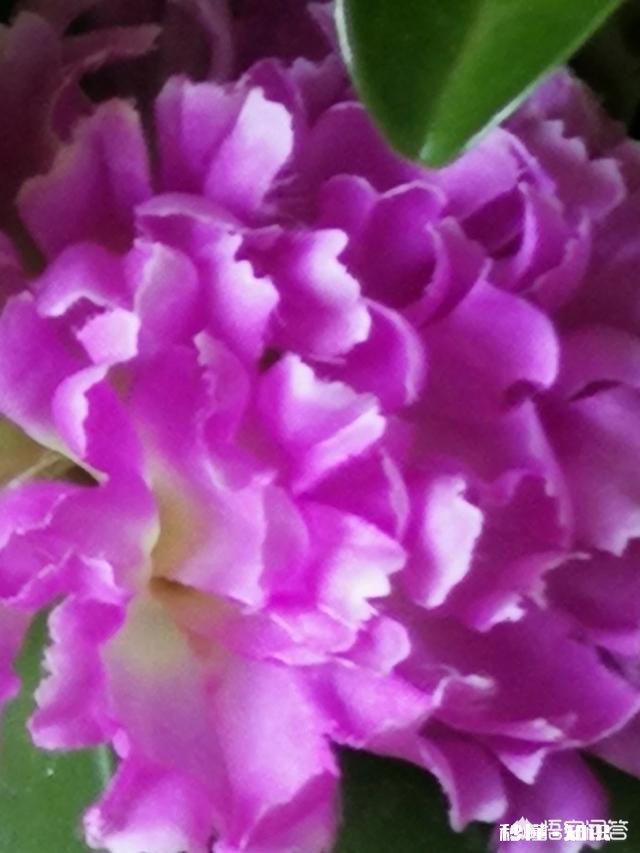 日常生活中,怎样才能把不起眼的小东西拍出不一样的感觉