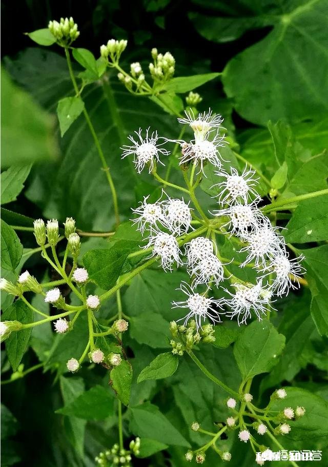 日常生活中,怎样才能把不起眼的小东西拍出不一样的感觉