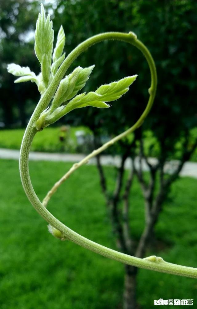 日常生活中,怎样才能把不起眼的小东西拍出不一样的感觉
