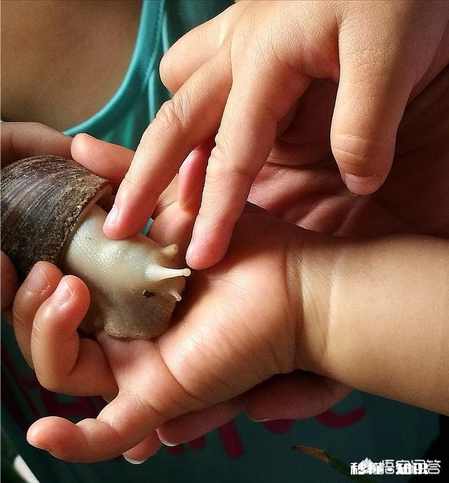 日常生活中,怎样才能把不起眼的小东西拍出不一样的感觉