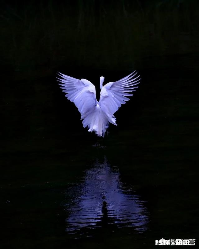 日常生活中,怎样才能把不起眼的小东西拍出不一样的感觉