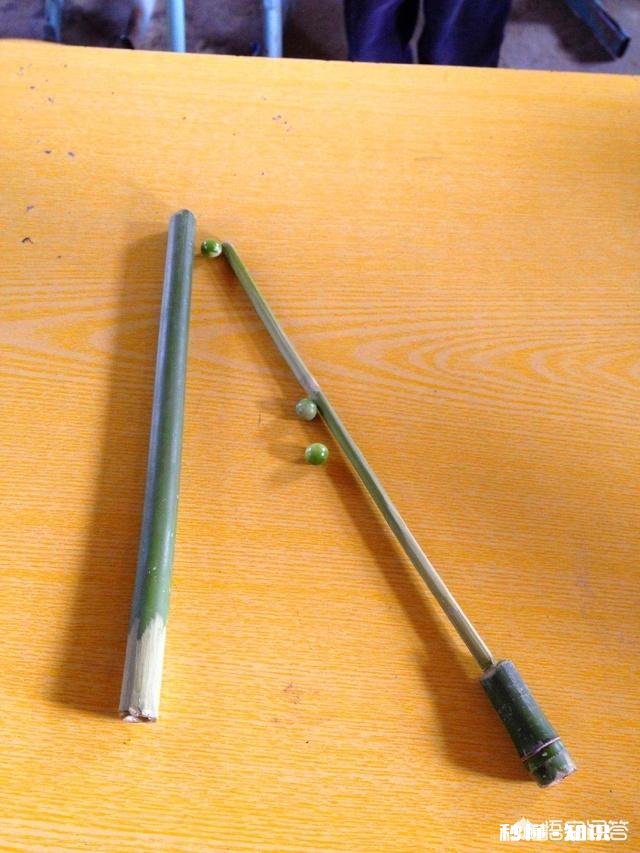 你还记得多少童年时的玩具