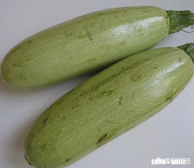 西葫芦炒鸡蛋的做法是什么