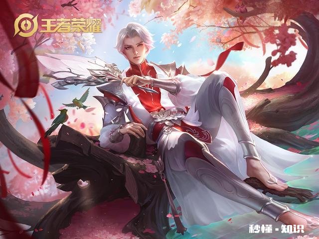 王者荣耀不可能再推出皮肤的英雄都有哪个