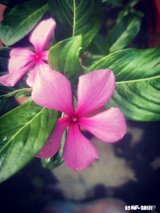 请问你觉得今年好过吗