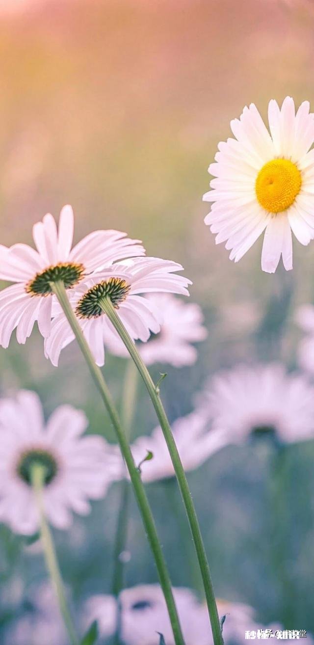 如何对待屁事比较多的人