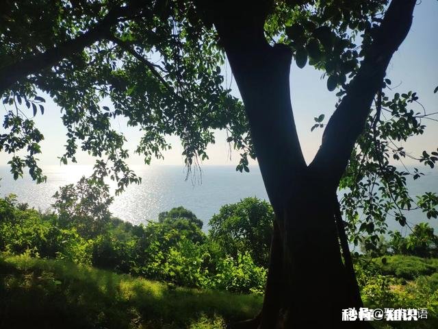 如何评价少儿体育教育