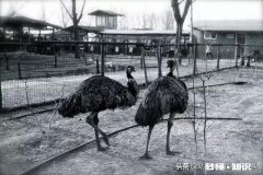 我跑步的配速不高，请大家看看，怎么改善一下