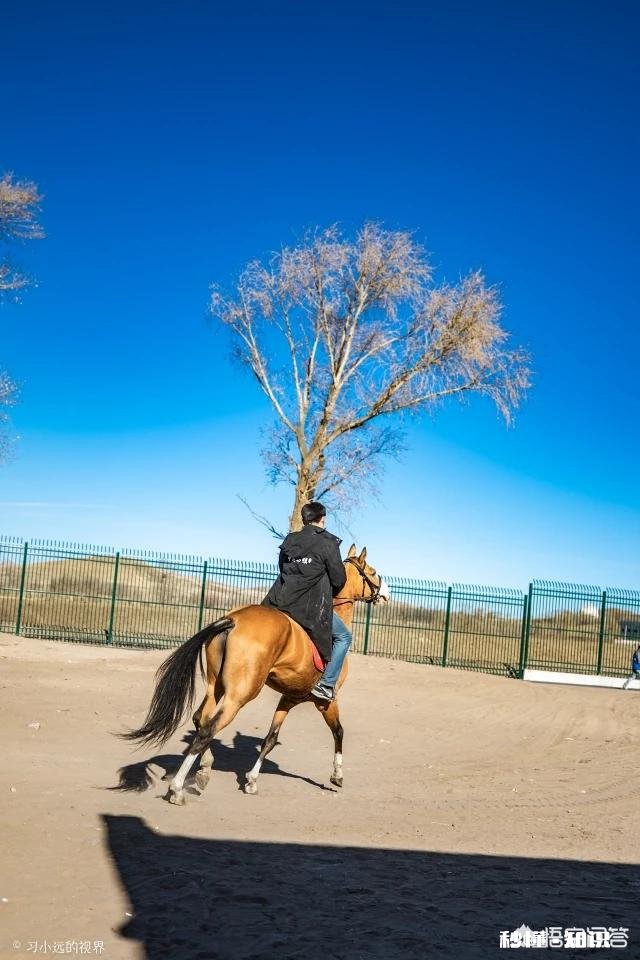 现在有这么多插件和一键成片的工具,大家还需要好好学摄影吗