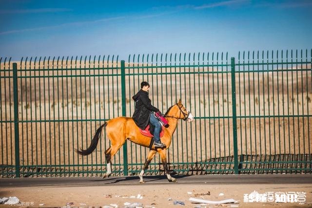 现在有这么多插件和一键成片的工具,大家还需要好好学摄影吗
