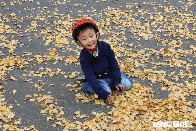 现在有这么多插件和一键成片的工具,大家还需要好好学摄影吗