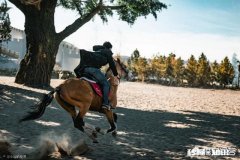 现在有这么多插件和一键成片的工具，大家还需要好好学摄影吗