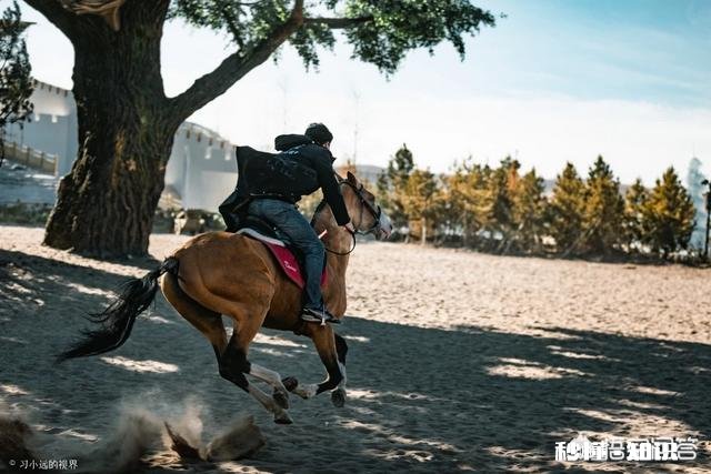 现在有这么多插件和一键成片的工具,大家还需要好好学摄影吗