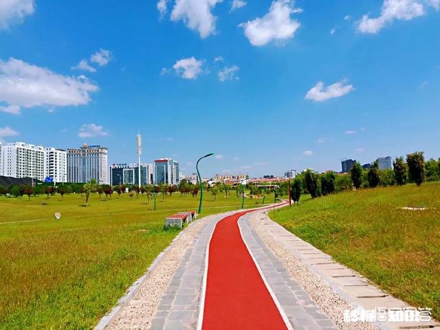 自媒体新人在这个互联网时代是一心全职，还是兼职