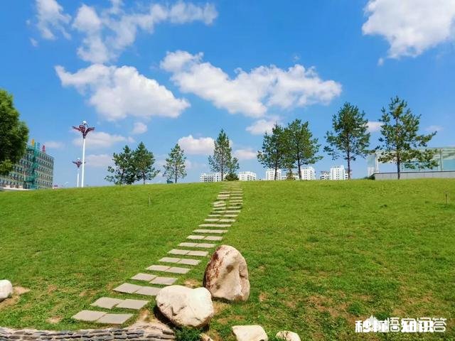 自媒体新人在这个互联网时代是一心全职，还是兼职