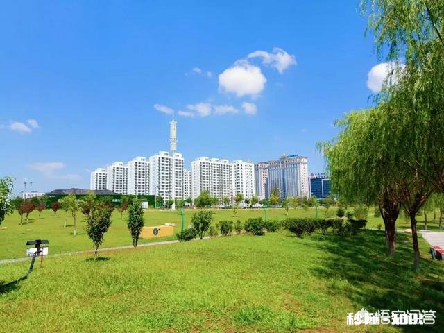 自媒体新人在这个互联网时代是一心全职，还是兼职