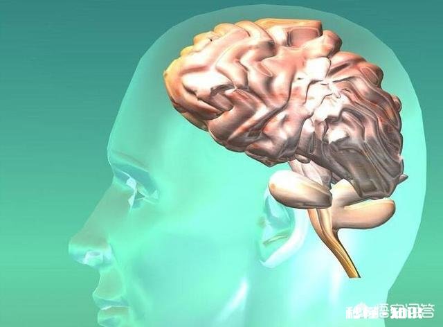 房颤患者怎样才能有效预防脑卒中