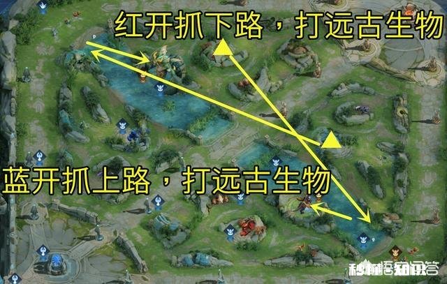 王者荣耀妹子打辅助都留不住野王，全程当跟班错了吗你怎么看