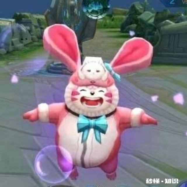 王者荣耀英雄重塑会是谁呢你怎么看