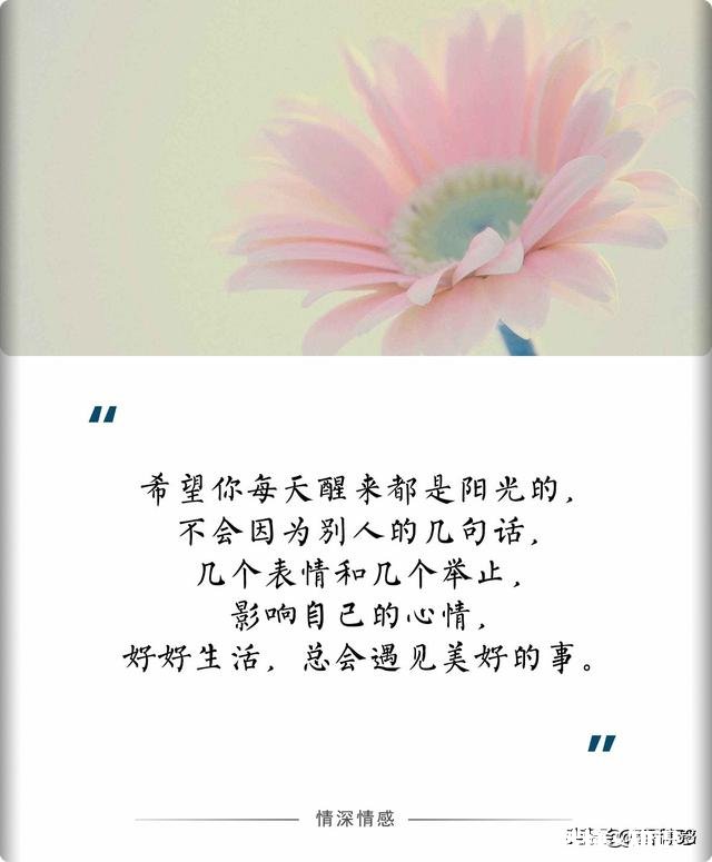 当你想干事却不知道要干什么时是什么心情