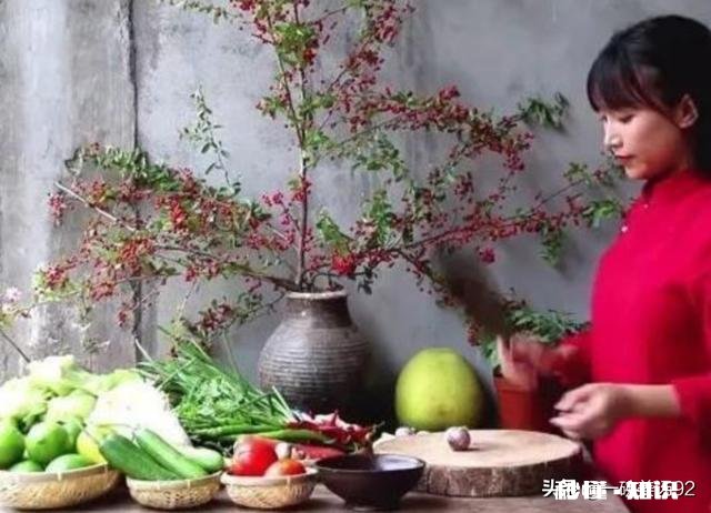 李子柒和她的土豆又火了，怎么看现象级网红她具备底蕴走很远吗