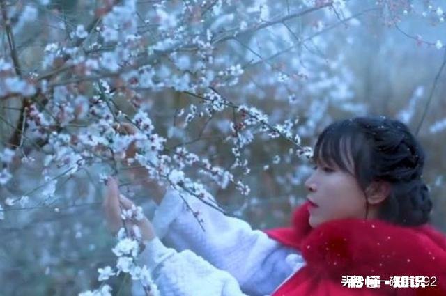 李子柒和她的土豆又火了，怎么看现象级网红她具备底蕴走很远吗