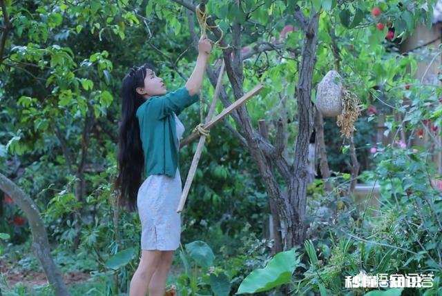 李子柒和她的土豆又火了，怎么看现象级网红她具备底蕴走很远吗