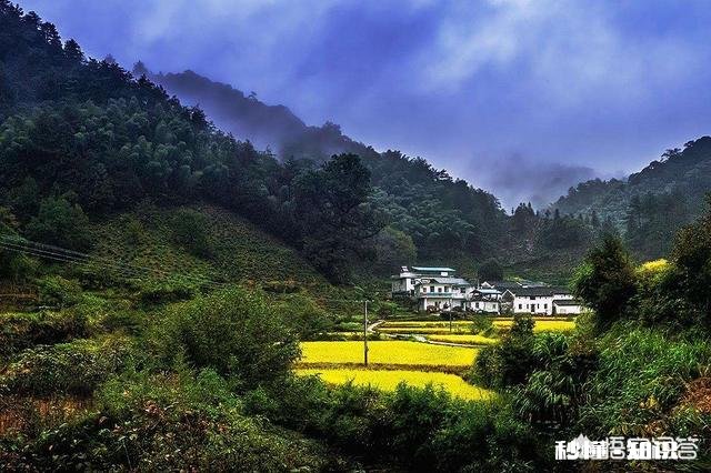 防癌抗癌、提高免疫力为什么要吃全价营养食品全价营养食品有什么特点