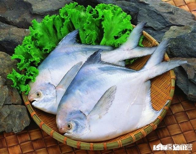 防癌抗癌、提高免疫力为什么要吃全价营养食品全价营养食品有什么特点