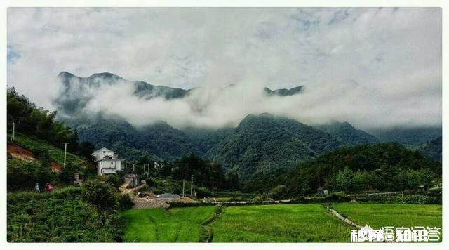 防癌抗癌、提高免疫力为什么要吃全价营养食品全价营养食品有什么特点