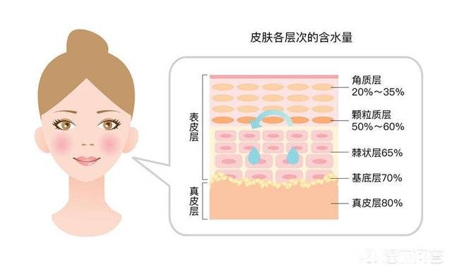 皮肤干是因为自身含水量低吗，应该怎么办