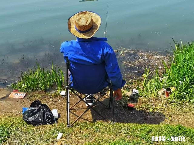 年龄大了能学业余摄影吗