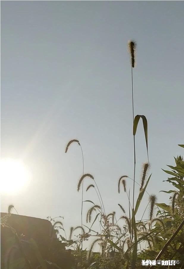 年龄大了能学业余摄影吗