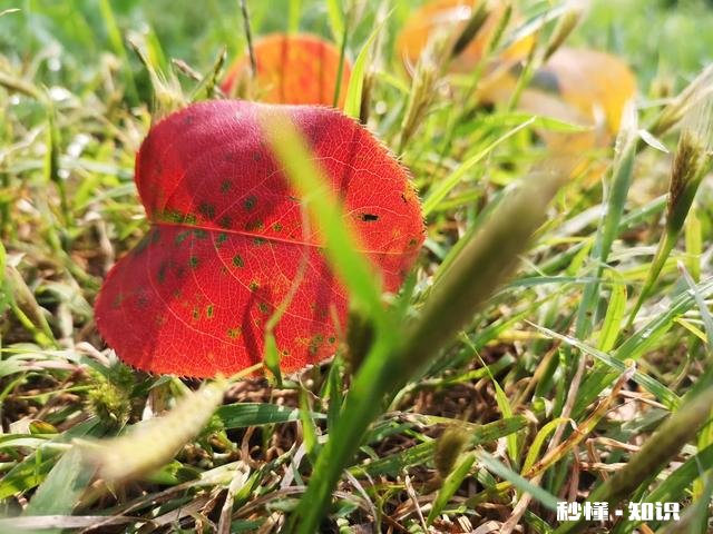 年龄大了能学业余摄影吗