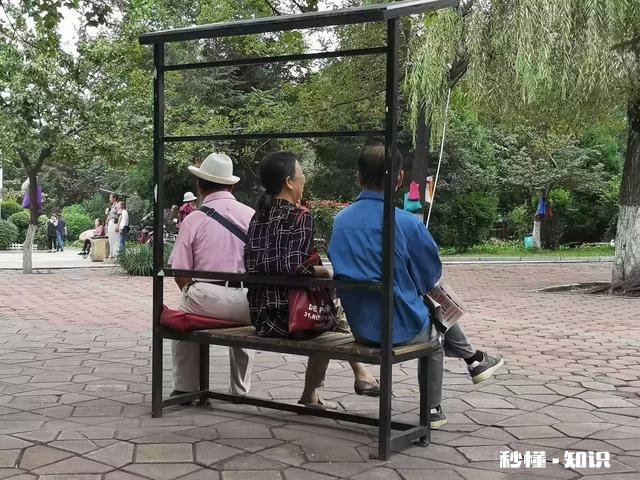 年龄大了能学业余摄影吗