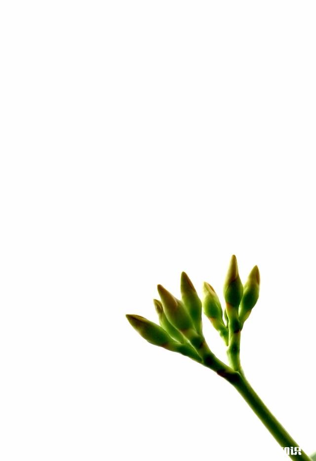 在局促的格局里面如何拍摄出大气的感觉