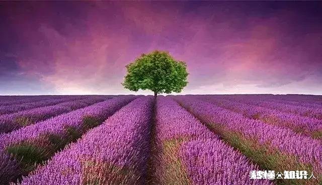 为什么有些人没钱，在外边还装