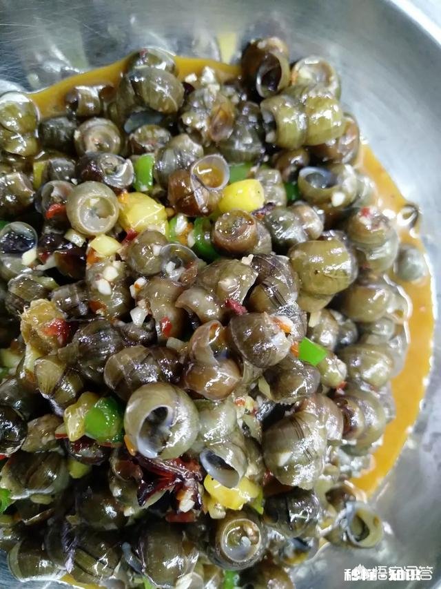 学习西餐好还是中餐好为什么