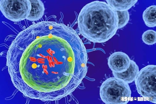 单细胞动物不会得病吗